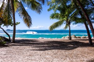 Yacht sailing by the coast of a Caribbean Island, view from the Island with palm trees.