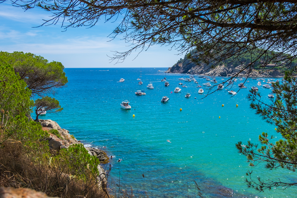 One of the most famous fishing spots in Costa Brava, the Palamos Marina full of boats 