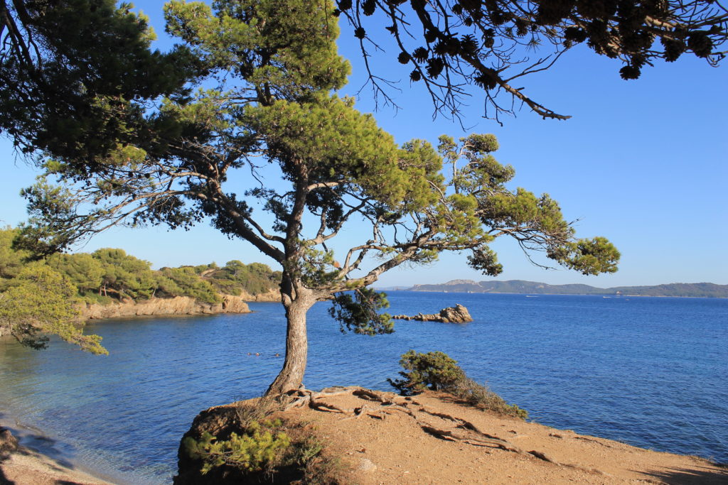 View of a bay in Giens peninsula showing the cliffs, trees and clear blue water