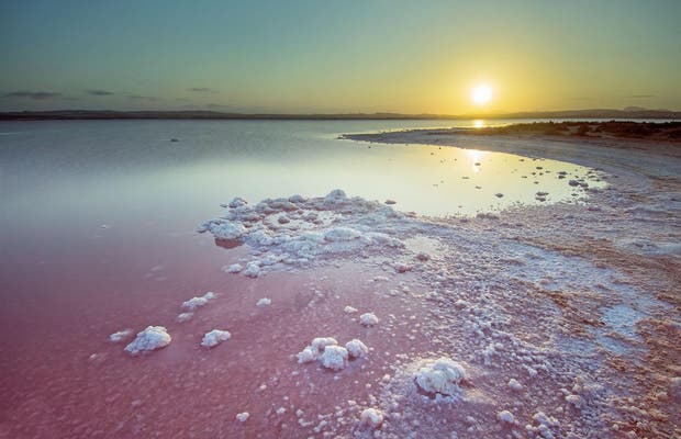pink lagoon in Torrevieja