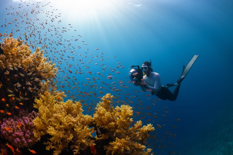 Top Diving Sites Around Corfu