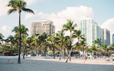 5 Reasons to Visit Miami