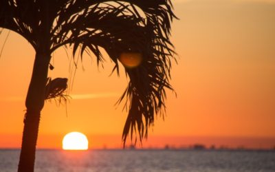 Miami Charter Itinerary: Explore the Florida Keys