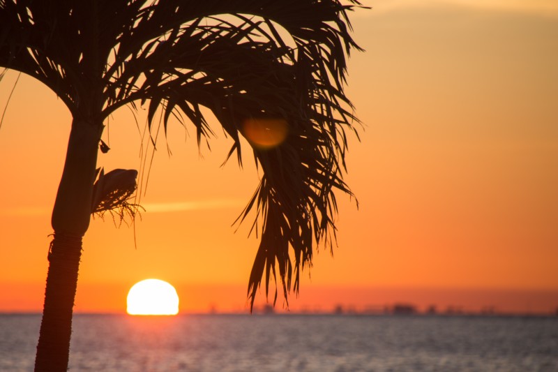 Miami Charter Itinerary: Explore the Florida Keys