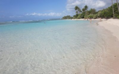 7-Day Guadeloupe Cruise: Your Perfect Caribbean Getaway
