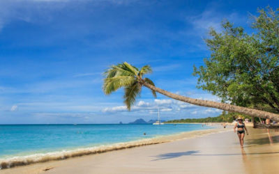 7 Days of Idyllic Cruising in Martinique