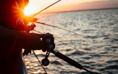 Book a Guided Fishing Trip in Miami