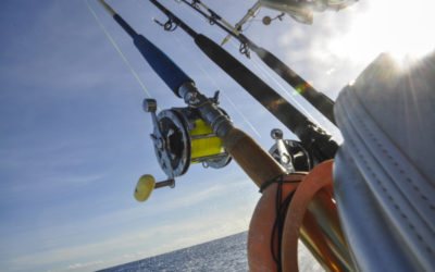 Book a Guided Fishing Trip in San Diego