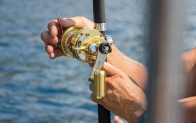 Book a Guided Fishing Trip in Menorca