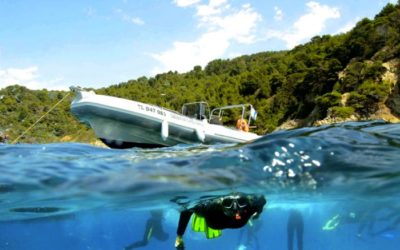 Scuba diving charters & boat trips in Ibiza
