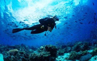 Scuba diving charters and boat trips in Bahamas