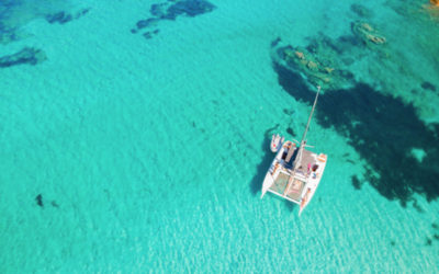 How your booking can help protect the ocean