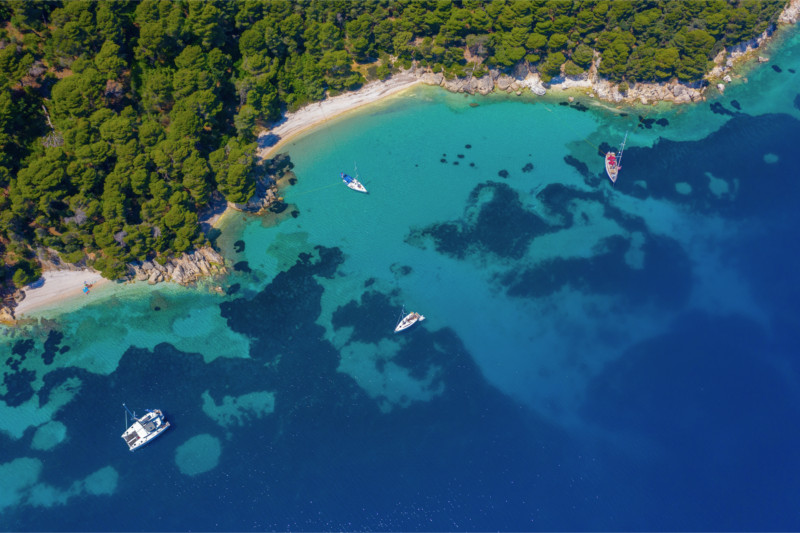 Aerial view of a Mediterranean cove and its Posidonia seagrass meadows