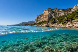 SamBoat and Fondation de la Mer partnership supporting ocean protection